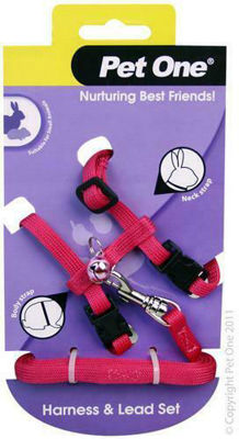 Picture of Small Animal Harness Purple
