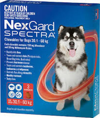 Picture of NEXGARD SPECTRA 30.1-60KG SINGLE